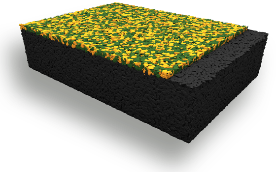 Fall Protection System